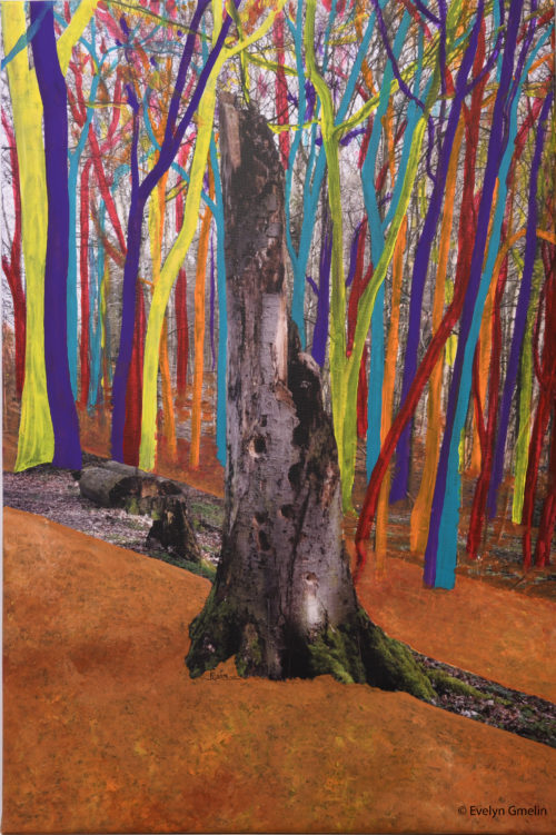 Bunter Wald